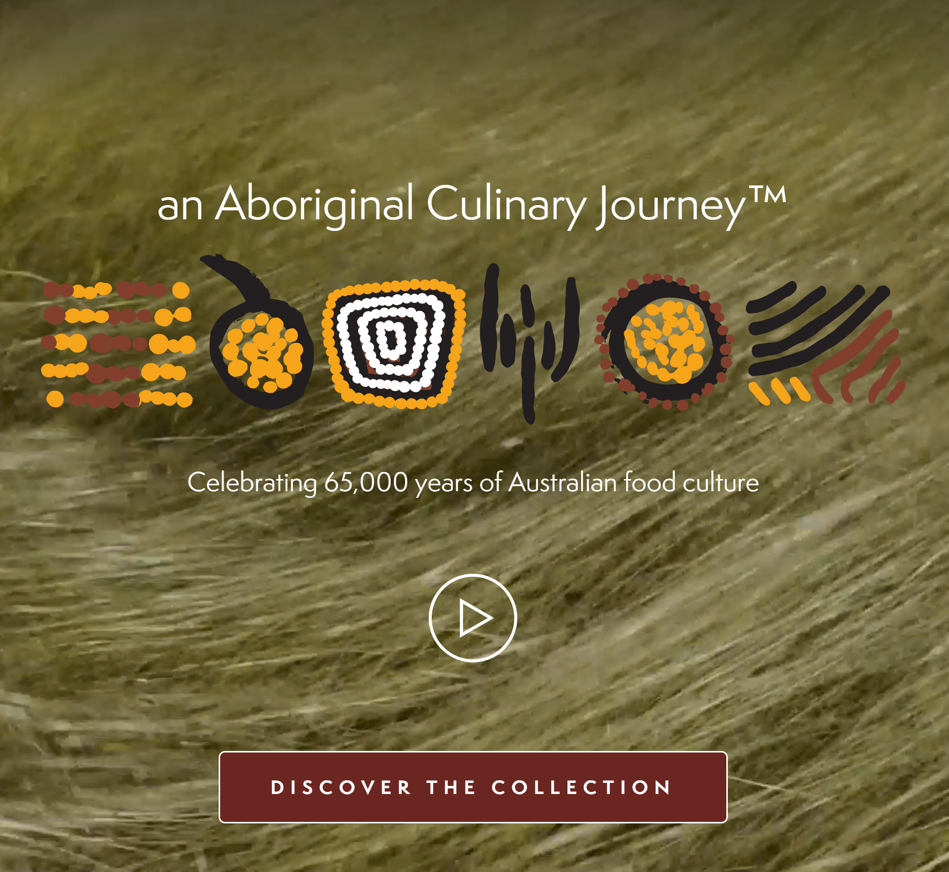 Breville indigenous scholarship